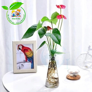 Bình thủy tinh cắm hoa, bình thả hạt