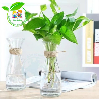 Bình thủy tinh cắm hoa, bình thả hạt
