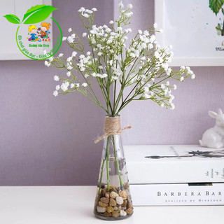 Bình thủy tinh cắm hoa, bình thả hạt