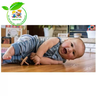 Xúc xắc 2 đĩa Montessori - Interlocking Discs