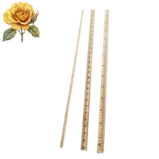 Thước gỗ đo mm, thước dài 1 mét ( 100cm )