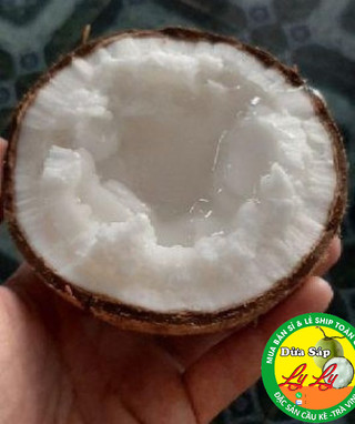 Dừa Sáp Bi 700g đặc ruột