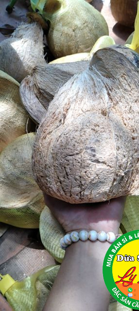 Dừa Sáp Bi 700g đặc ruột