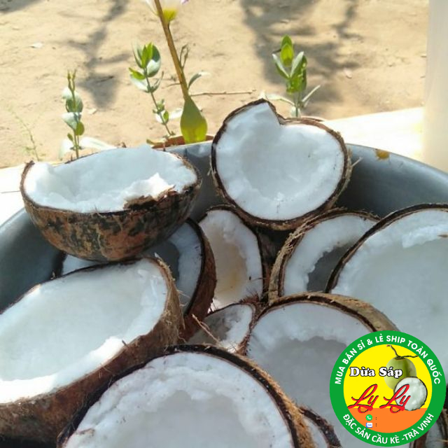 DỪA SÁP LỎNG 4 LÀM MỨT SINH TỐ
