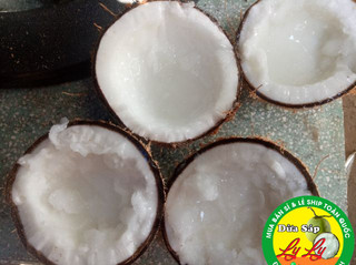 DỪA SÁP LỎNG 4 LÀM MỨT SINH TỐ