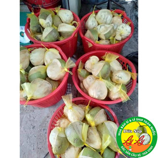 Dừa sáp loại 2 lỡ 1ky5