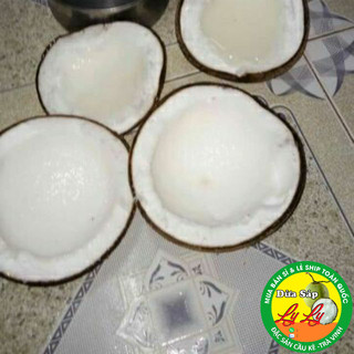DỪA SÁP LỎNG 3 DƯỚI KÝ