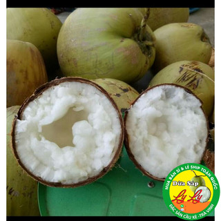  Dừa sáp Bi 500g đặc ruột 