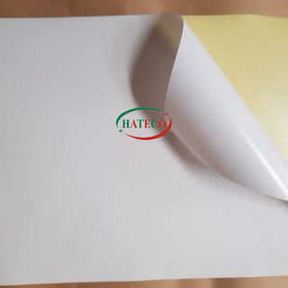Decal đế vàng Amazonn A4 - đề can đế vàng Amazon( hàng chuẩn 100 tờ / tập)