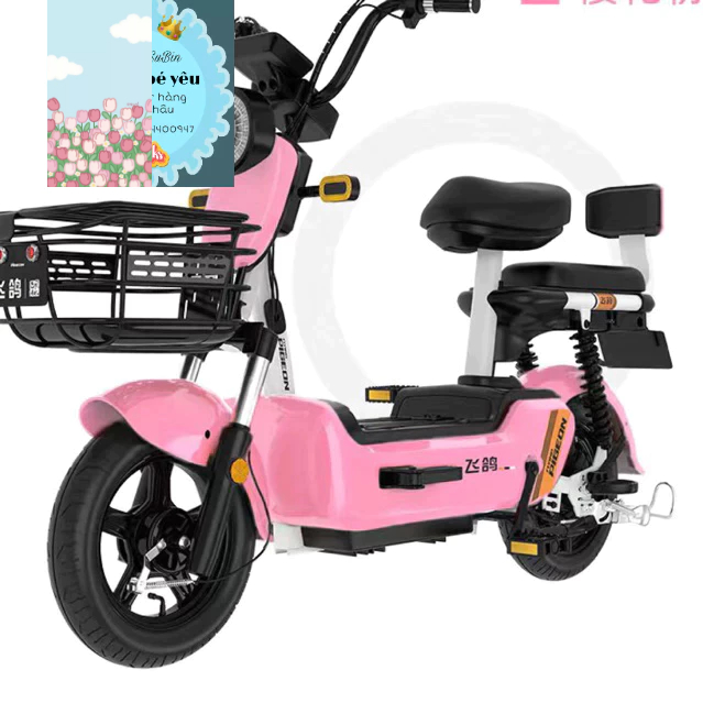 Xe đạp điện - oder