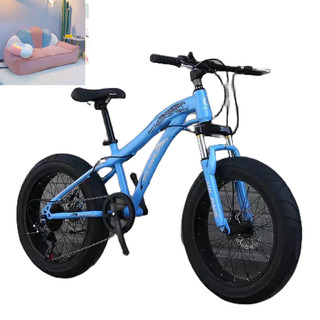 xe đạp bánh béo sz 20 - oder