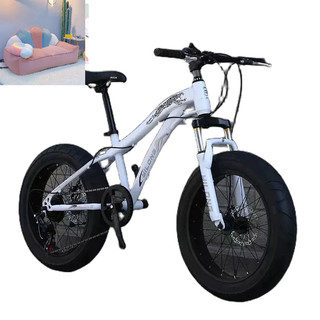 xe đạp bánh béo sz 20 - oder