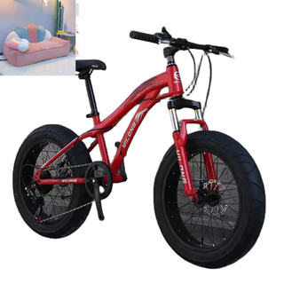 xe đạp bánh béo sz 20 - oder