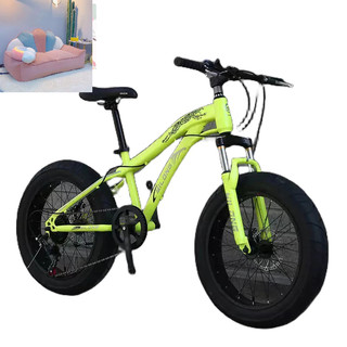 xe đạp bánh béo sz 20 - oder