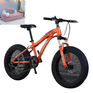 xe đạp bánh béo sz 20 - oder