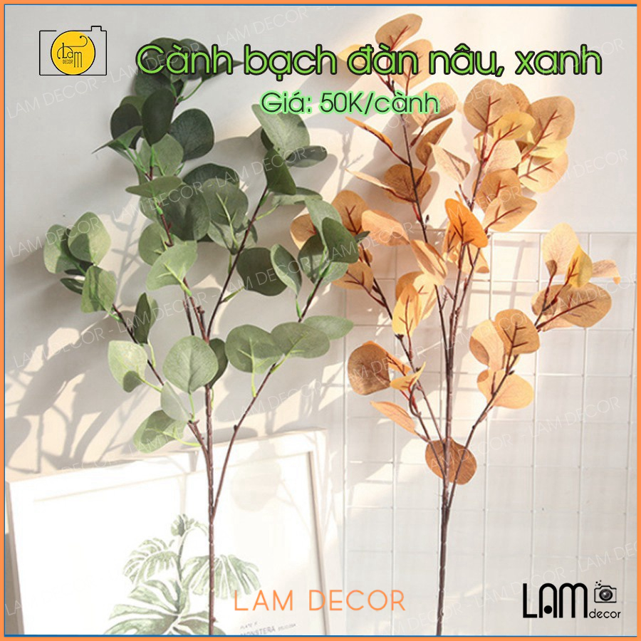 Lá bạch đàn giả trang trí