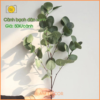 Lá bạch đàn giả trang trí