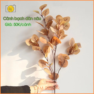 Lá bạch đàn giả trang trí