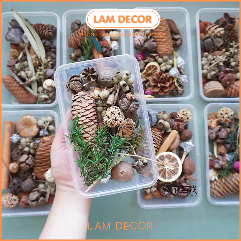 Set đồ khô 9 món decor phong cách cổ điển làm phụ kiện chụp ảnh sản phẩm