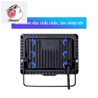 Đèn Pha Philips LED BVP 30W