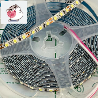 LED DÂY DÁN 2835 Bản 5mm ( 5 Ly ) 120 LED/1M Điện 12V- Cuôn 5m Đèn LED DÂY DÁN 2835 Bản 5mm 120 LED /1M