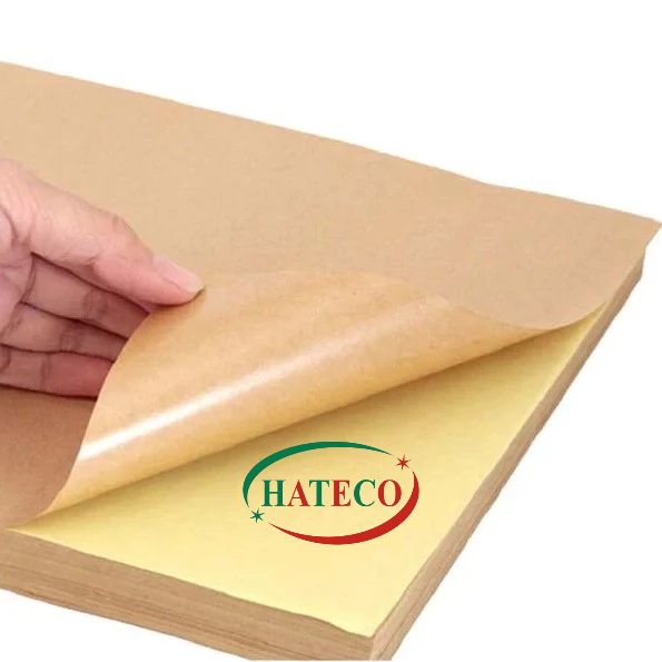 100 tờ Đề can da bò A4 - Decal xi măng Giấy Decan A4 đế xanh - Decal nhám Thái Tập