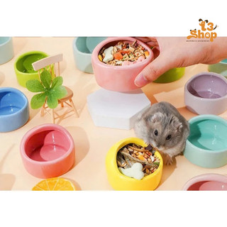 Chén vòm trơn cho hamster size nhỏ và lớn - T3 PETS SHOP