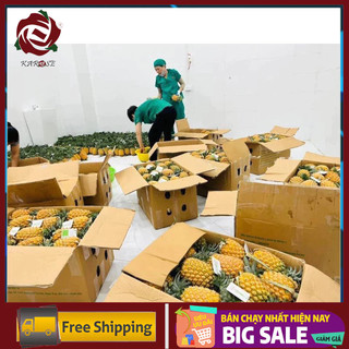 Dứa Hữu Cơ Sấy Dẻo Karose 200gr - tiêu chuẩn PGS