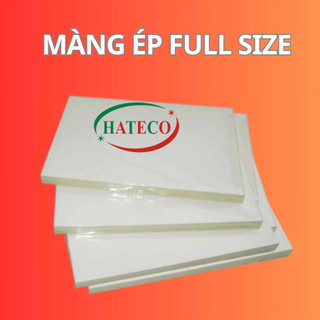 Giấy Ép Plastic A4 130 mic (220x315mm) - Giấy ép ảnh - Màng ép