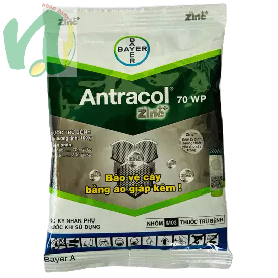 Antracol 70wp 100g  bayer trừ bệnh tạo áo giáp kẽm bảo vệ cây