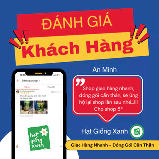 Hạt giống rau thơm Sả (Lá é)- húng trắng- 2 gram
