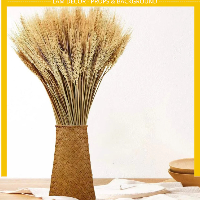 Bó lúa mì tự nhiên, Bó lúa mạch decor trang trí, chụp ảnh sản phẩm Lamdecor