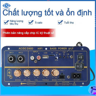 Mạch loa karaoke D80 Bluetooth 5.0, 12V/24V/220V, công suất cao 200w, thích hợp lắp loa di động, loa đã qua sửa đổi