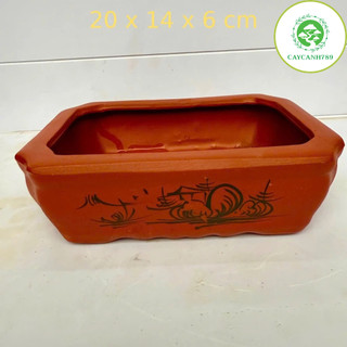  Chậu gốm đất nung bonsai mini chữ nhật DxRxC 20x14x6cm 
