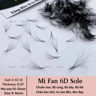 Mi fan 6D Sole Camellia dày 0.07, Cong C-CC-D, hộp 500-1000fan, mi hoa hồng sơn trà, volume Thúy Hà