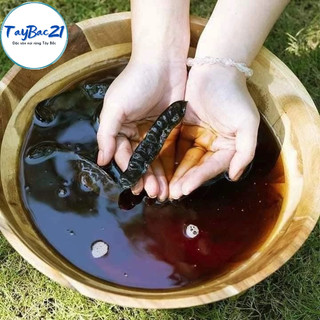 Quả bồ kết khô chín cây