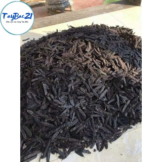 Quả bồ kết khô chín cây
