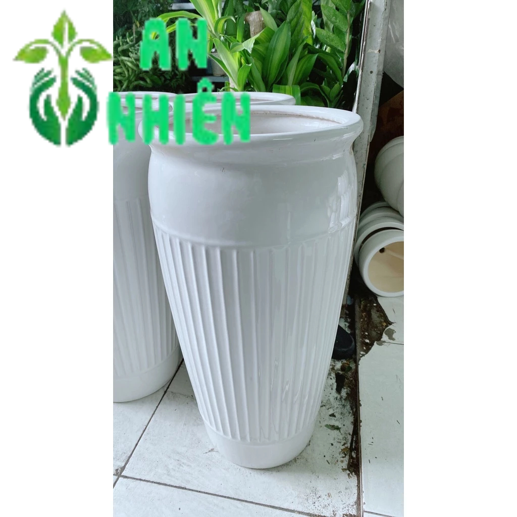 (Giao hỏa tốc) Chậu Trồng Cây Lớn Cao 57cm lọt lòng 24cm