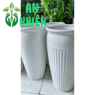 (Giao hỏa tốc) Chậu Trồng Cây Lớn Cao 57cm lọt lòng 24cm