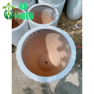 (giao hỏa tốc) Chậu Trồng Cây (chậu sứ, cao 51cm lọt lòng 33cm)