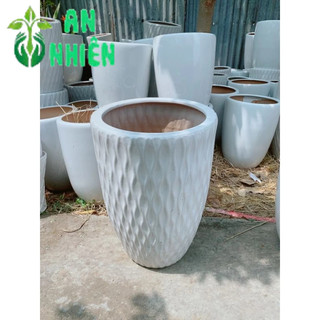 (giao hỏa tốc) Chậu Trồng Cây (chậu sứ, cao 51cm lọt lòng 33cm)