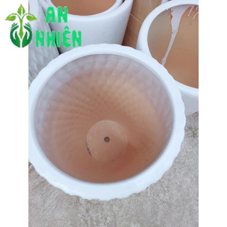 (giao hỏa tốc) Chậu Trồng Cây (chậu sứ, cao 51cm lọt lòng 33cm)