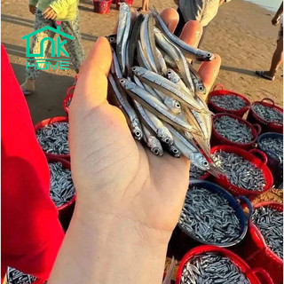Mắm nêm cái cá cơm pha sẵn gia vị - Chai 380gr - Đặc sản Phan Rang