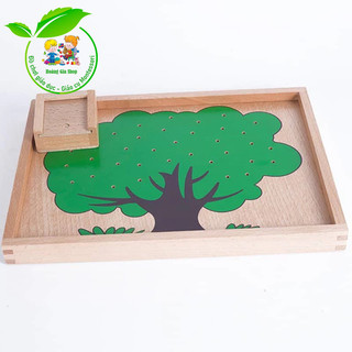 Bài học đếm táo - Apple counting tree exercise