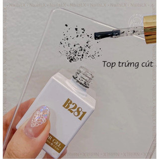 Sơn gel B281 chính hãng 15ml (Chai) sơn móng làm nail