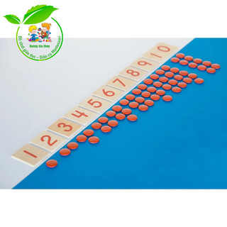 Hộp thẻ số và hạt đếm - Cards and counters