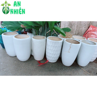 (GIAO HỎA TỐC) Chậu Trồng Cây (chậu sứ, cao 43cm rộng 25 lọt lòng 21cm)