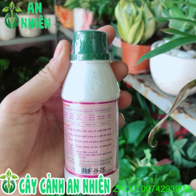 Dung Dịch Dinh Dưỡng Thuỷ Sinh