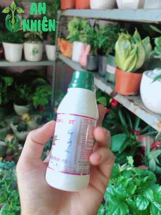 Dung Dịch Dinh Dưỡng Thuỷ Sinh