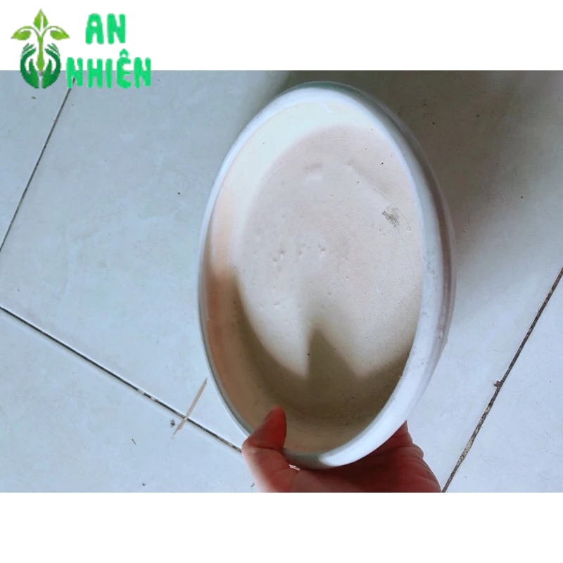 Đĩa Lót Chậu Bằng Sứ